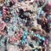 Teal Treat – Hand-Dyed Teeswater Fleece/Locks