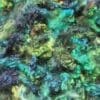 Mineral Springs - Hand-Dyed Teeswater Fleece/Locks