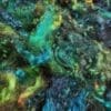 Mineral Springs - Hand-Dyed Teeswater Fleece/Locks